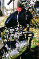 Scan10138.JPG (36409 bytes)