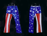 stars_n_strips.jpg (99033 bytes)